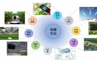 智慧農(nóng)業(yè)浪潮下，農(nóng)企如何借力信息技術(shù)咨詢服務(wù)破局爭先