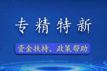 信息技術(shù)咨詢服務(wù)企業(yè)專利申請(qǐng)與布局的策略及解決方案